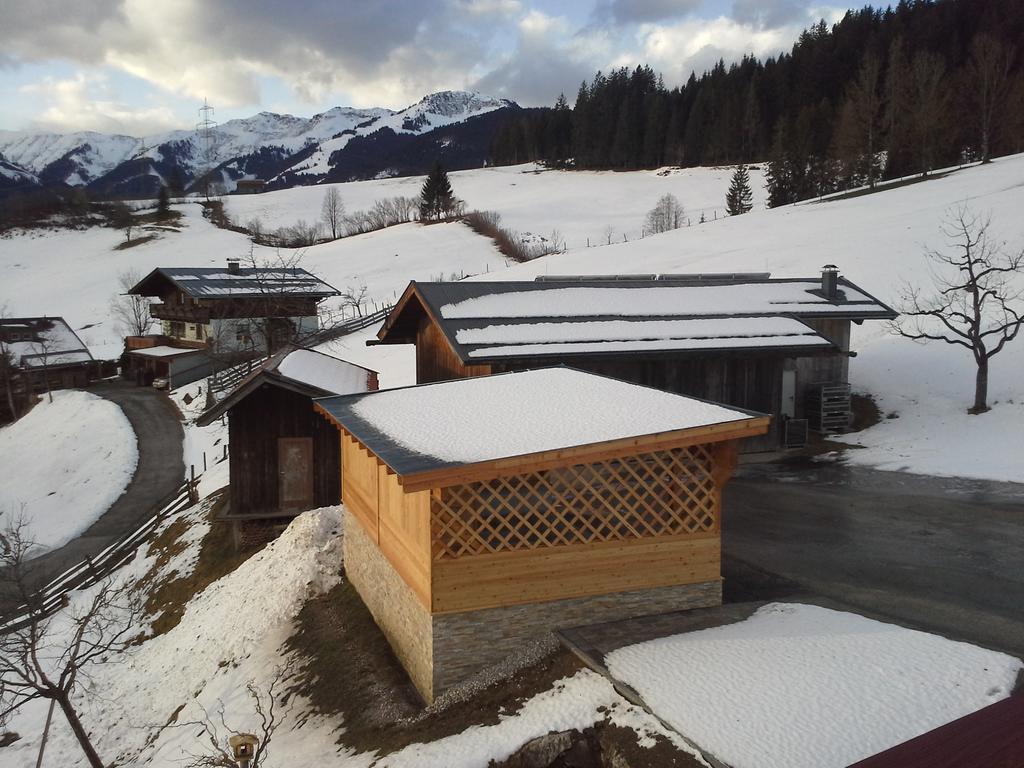 Onemooshof Daire Maria Alm am Steinernen Meer Oda fotoğraf