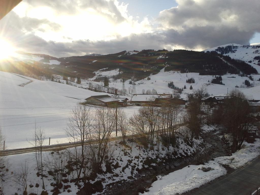 Onemooshof Daire Maria Alm am Steinernen Meer Dış mekan fotoğraf